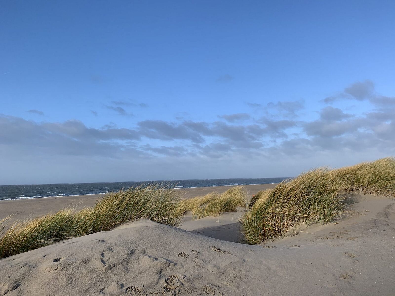Unterkunft 6601288 - Ferienhaus Goeree-Overflakkee - Strandpark Duynhille 4
