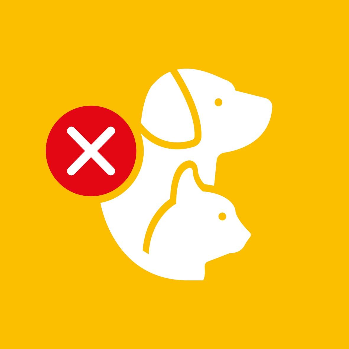 Haustiere sind im Chalet Ouddorp, einem Ferienhaus im malerischen Ouddorp, Goeree-Overflakkee, nicht erlaubt.