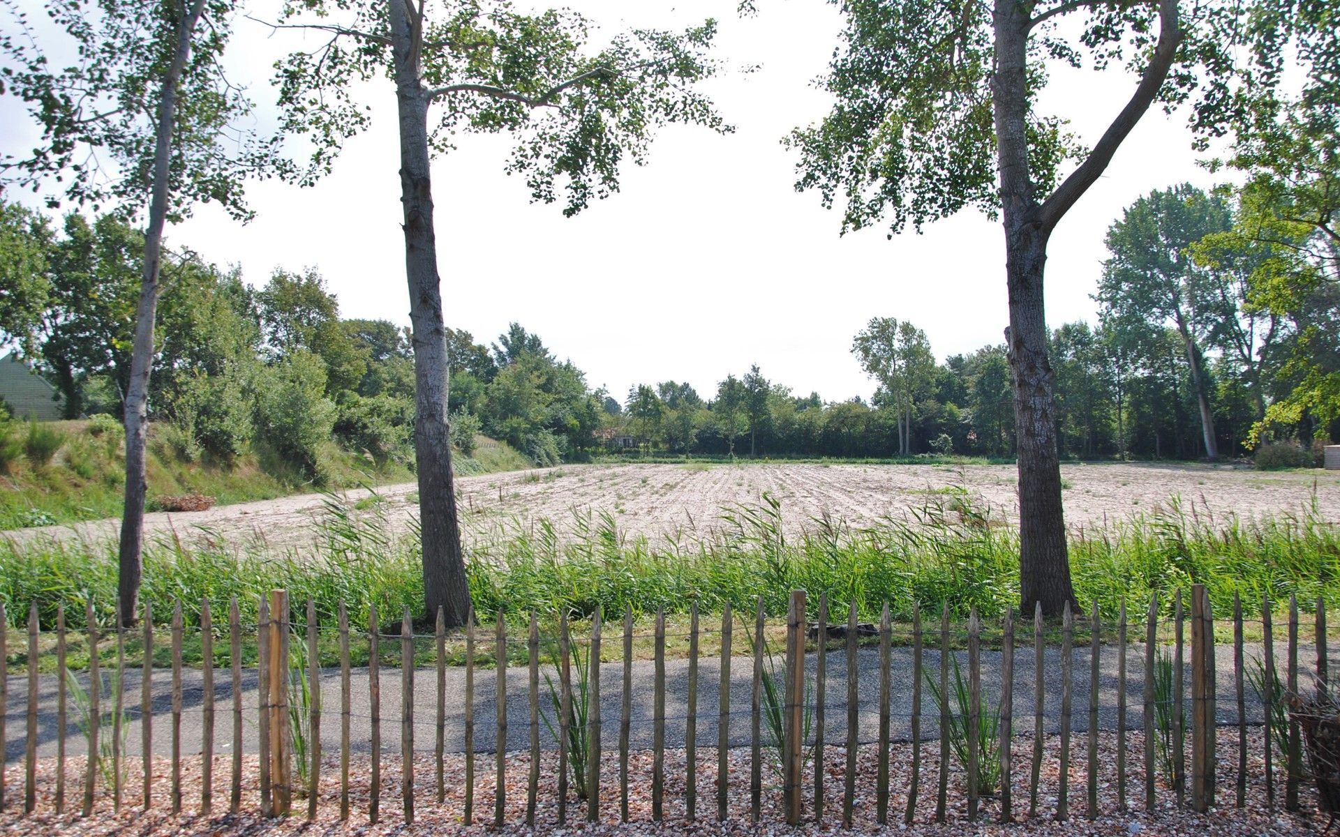 Blick auf die gruene Umgebung von der Vakantiewoning De Toekomst 126 Beachgarden in Ouddorp, Suedholland.