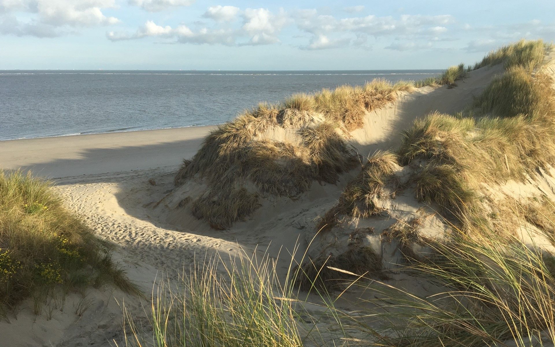 Schoene Strandlandschaft in der Naehe des Ferienhauses De Toekomst 126 Beachgarden in Ouddorp.