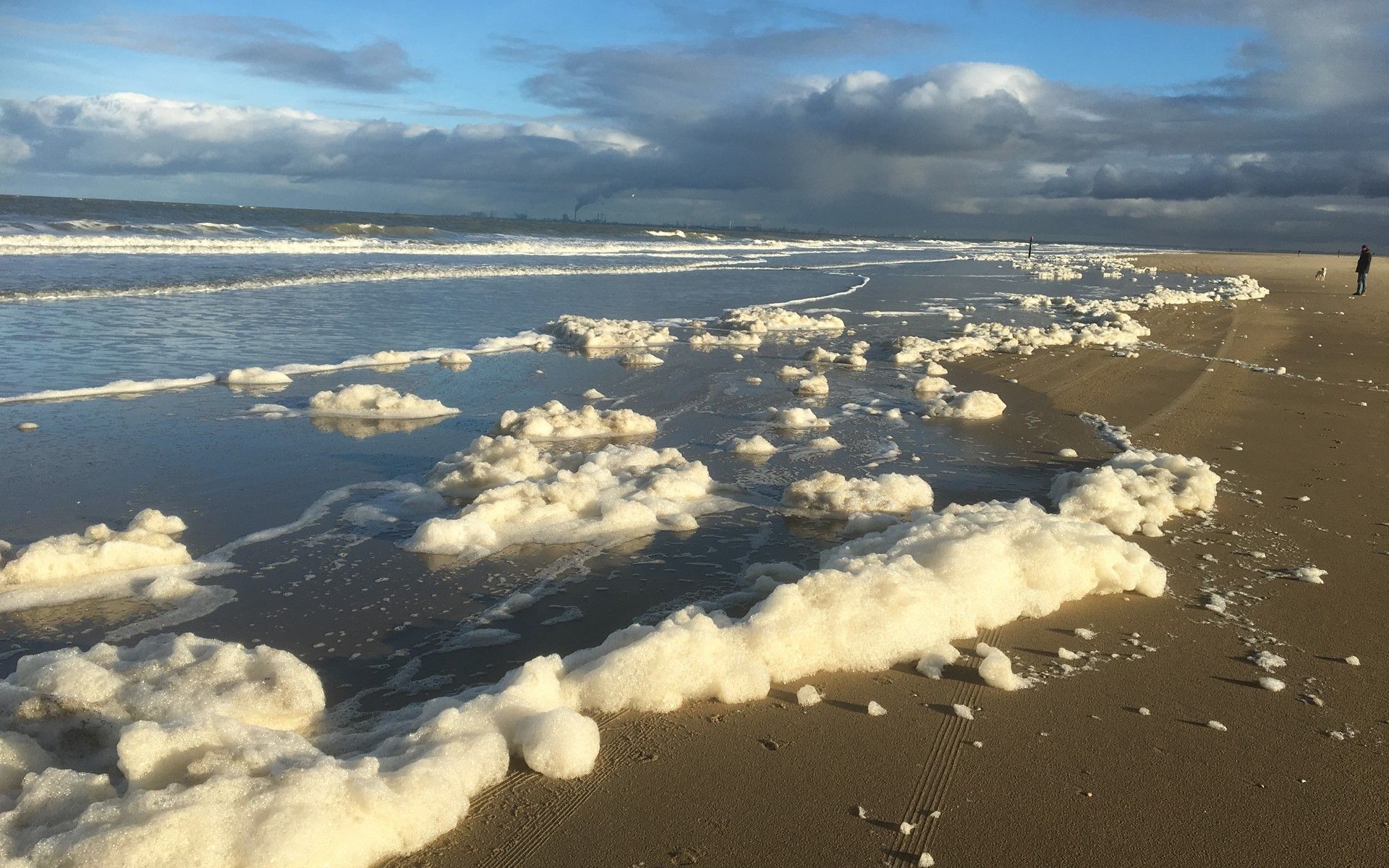 Strand mit schaeumendem Wasser in der Naehe des Ferienhauses De Toekomst 126 Beachgarden in Ouddorp.