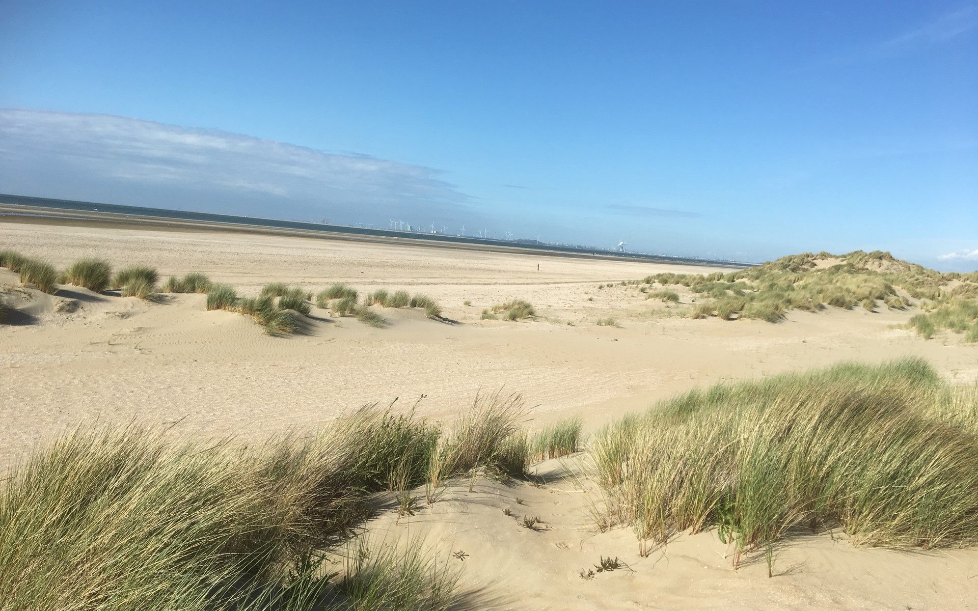 Weitlaeufiger Strand und Duenen beim Ferienhaus De Toekomst 126 Beachgarden in Ouddorp.
