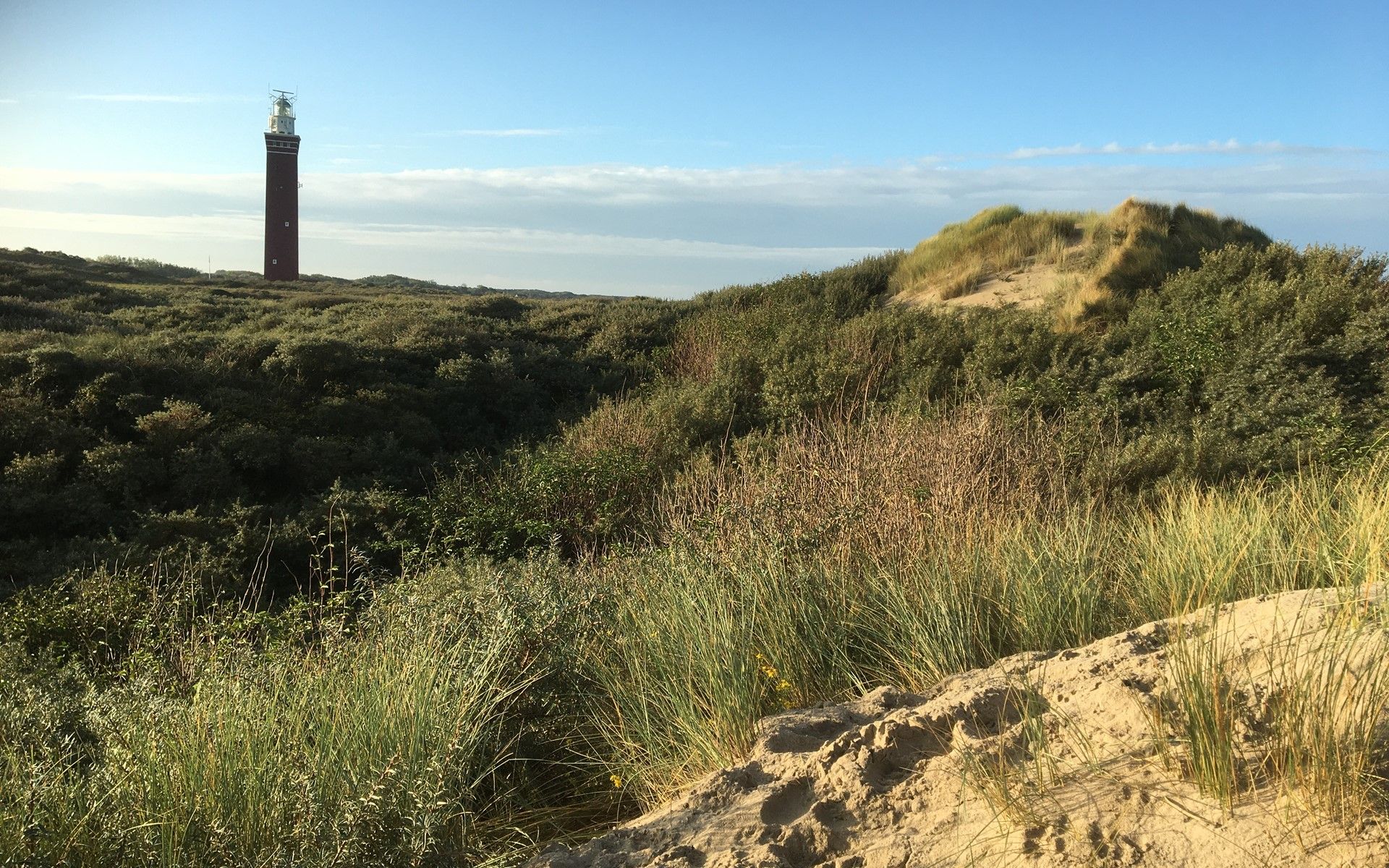 Leuchtturm und Duenen im Ferienhaus De Toekomst 126 Beachgarden in Ouddorp, Suedholland.