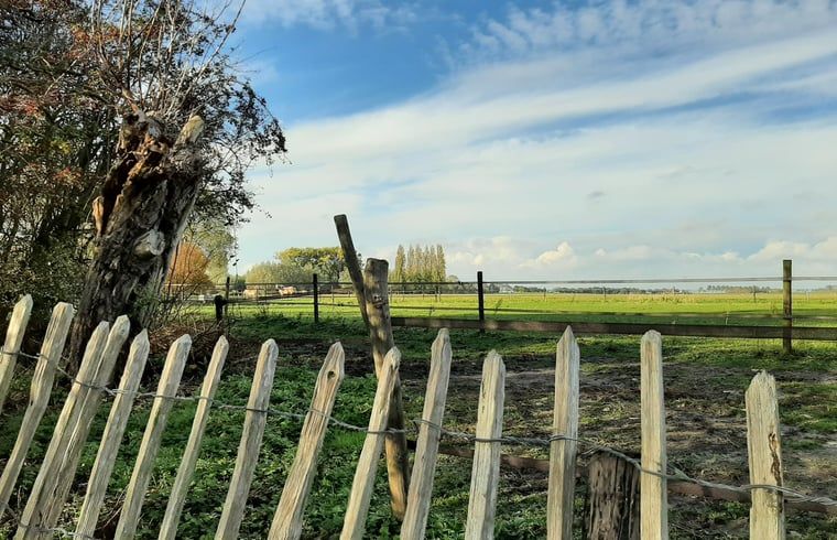Atemberaubende Aussicht auf die Natur im Haus in Ooltgensplaat, Ferienhaus in Suedholland.