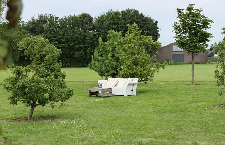 Rustikale Gartenbank im Ferienhaus in Sommelsdijk, Goeree-Overflakkee, Suedholland. Geniessen Sie die gruene Umgebung und die frische Luft.