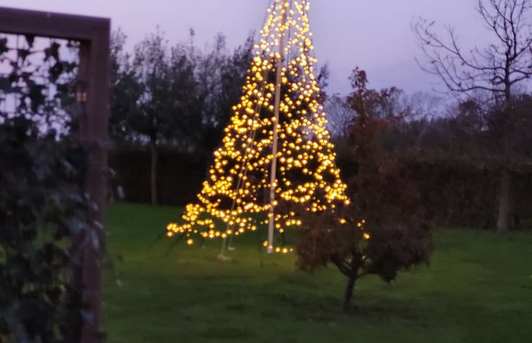 Beleuchteter Garten im Ferienhaus in Sommelsdijk, Goeree-Overflakkee, Suedholland. Geniessen Sie ein zauberhaftes Ambiente.