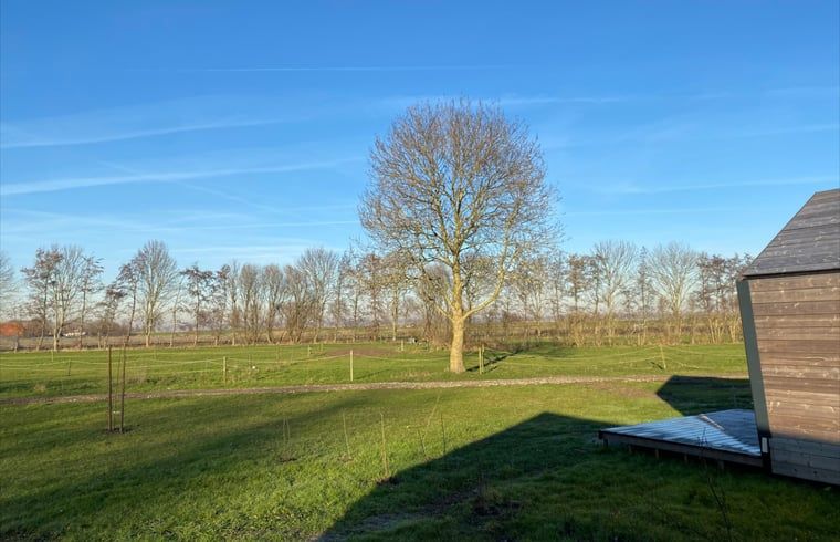 Blick auf die gruene Umgebung vom Ferienhaus in Sommelsdijk, ruhige Landschaft in Suedholland.