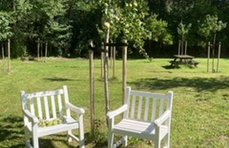 Ruhiger Garten mit Sitzgelegenheiten im Ferienhaus in Goedereede, umgeben von Natur in Suedholland.
