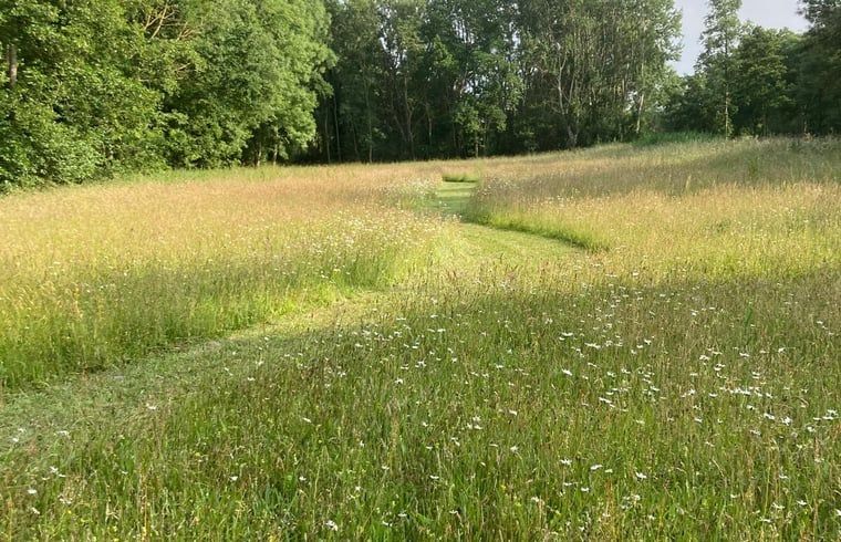 Grosser Rasen am Ferienhaus in Goedereede, ideal fuer einen entspannten Urlaub in Suedholland.