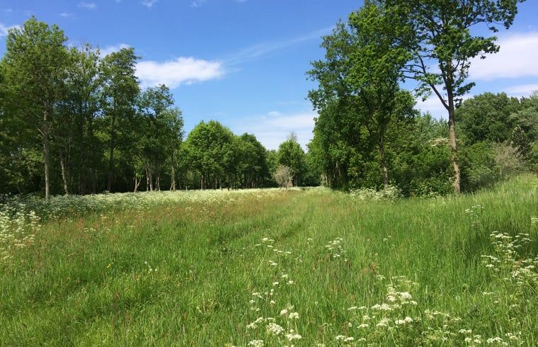 Gruene Wiese am Ferienhaus in Goedereede, ideal fuer Naturliebhaber in Suedholland.