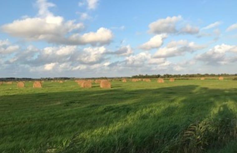 Sandstrand in der Naehe Ferienhaus in Goedereede, ideal fuer Strandspaziergaenge in Suedholland.
