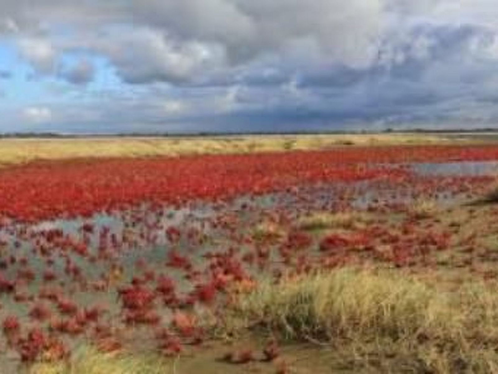 Verblijf 661021 - Appartement Goeree-Overflakkee - Appartement Gemütliches Mobilheim mit 3 Schlafzimmern