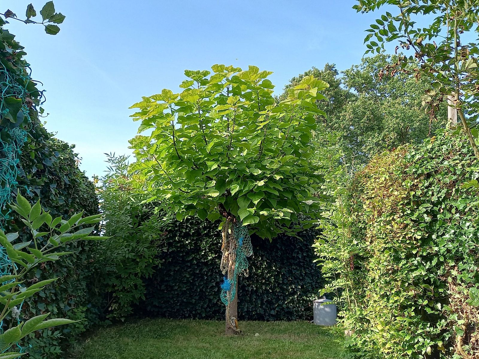 Verblijf 661021 - Appartement Goeree-Overflakkee - Appartement Gemütliches Mobilheim mit 3 Schlafzimmern