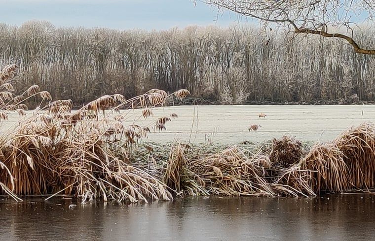 Gefrorene Flusslandschaft bei Cottage in Nieuwveen, Ferienhaus in Green Heart, Suedholland.