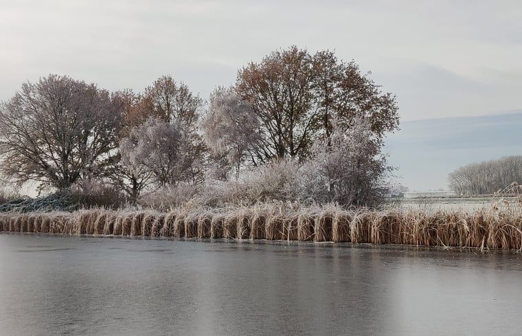 Verschneite Landschaft bei Cottage in Nieuwveen, Ferienunterkunft in Groene hart, Suedholland.