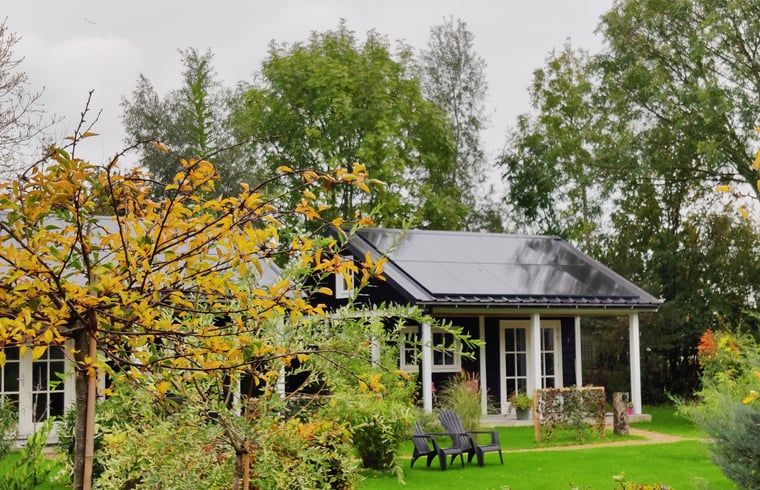 Herbstfarben um Cottage in Nieuwveen, Ferienunterkunft in Green Heart, Suedholland.