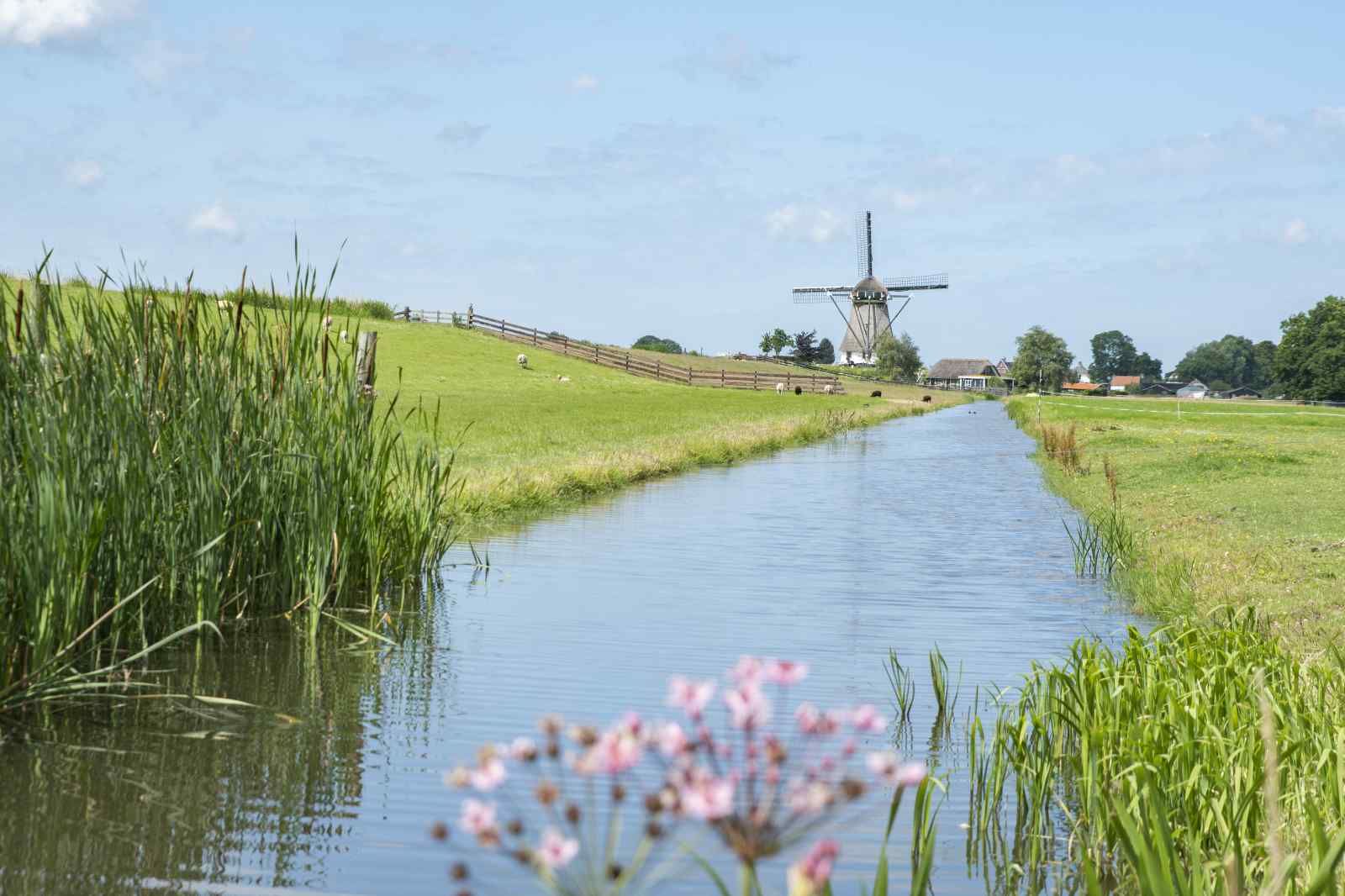 Unterkunft 671810 - Ferienhaus Groene hart - ZH058
