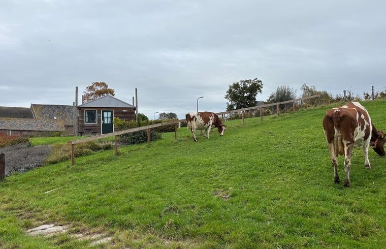 Guest house 673008 - Holiday property Groene hart - Vakantiehuisje in Leidschendam