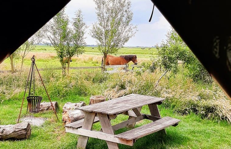 Geniet van het landelijke uitzicht bij Vakantiehuisje in Aarlanderveen, Zuid-Holland. Ontspan aan de picknicktafel te midden van de natuur.