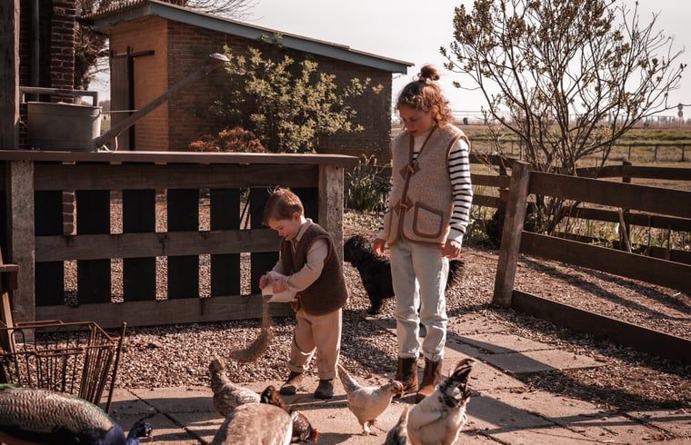 Verblijf 673214 - Vakantiewoning Groene hart - Vakantiehuisje in Aarlanderveen