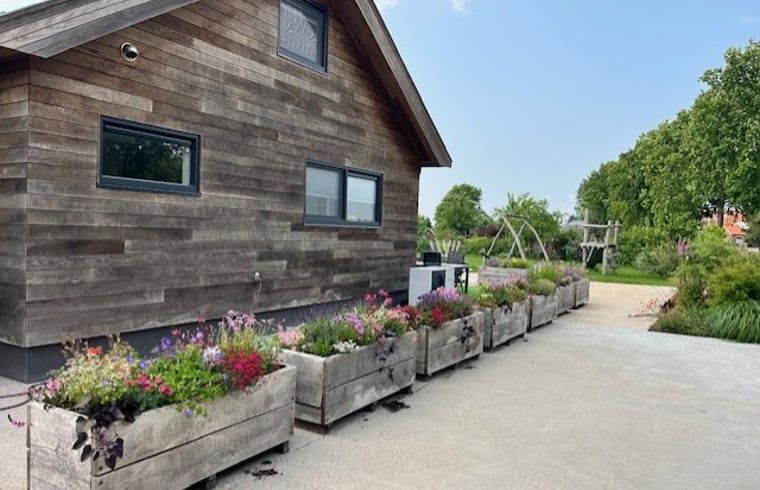 Cottage in Noorden, Green Heart, South Holland with wooden facade and colorful flower boxes, surrounded by lush nature.