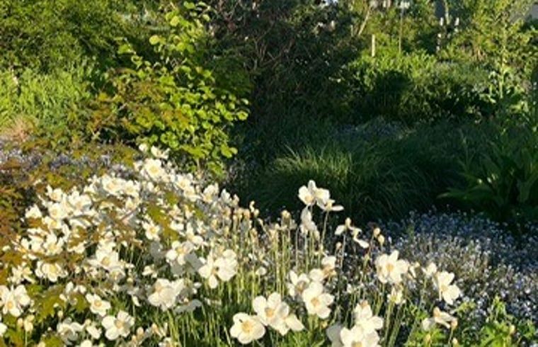 Guest house 674202 - Holiday property Groene hart - Vakantiehuisje in Noorden