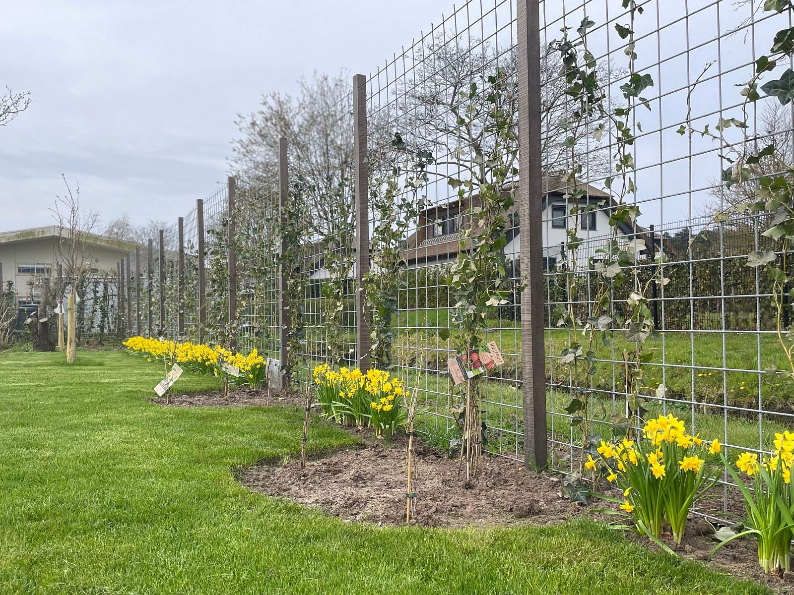 Guest house 6801106 - Holiday property Noordzeekust - Vakantiehuis MarBriliante