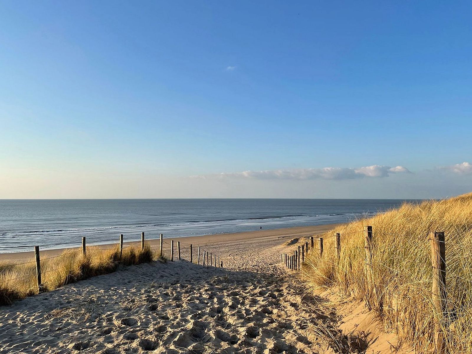 Guest house 6801106 - Holiday property Noordzeekust - Vakantiehuis MarBriliante