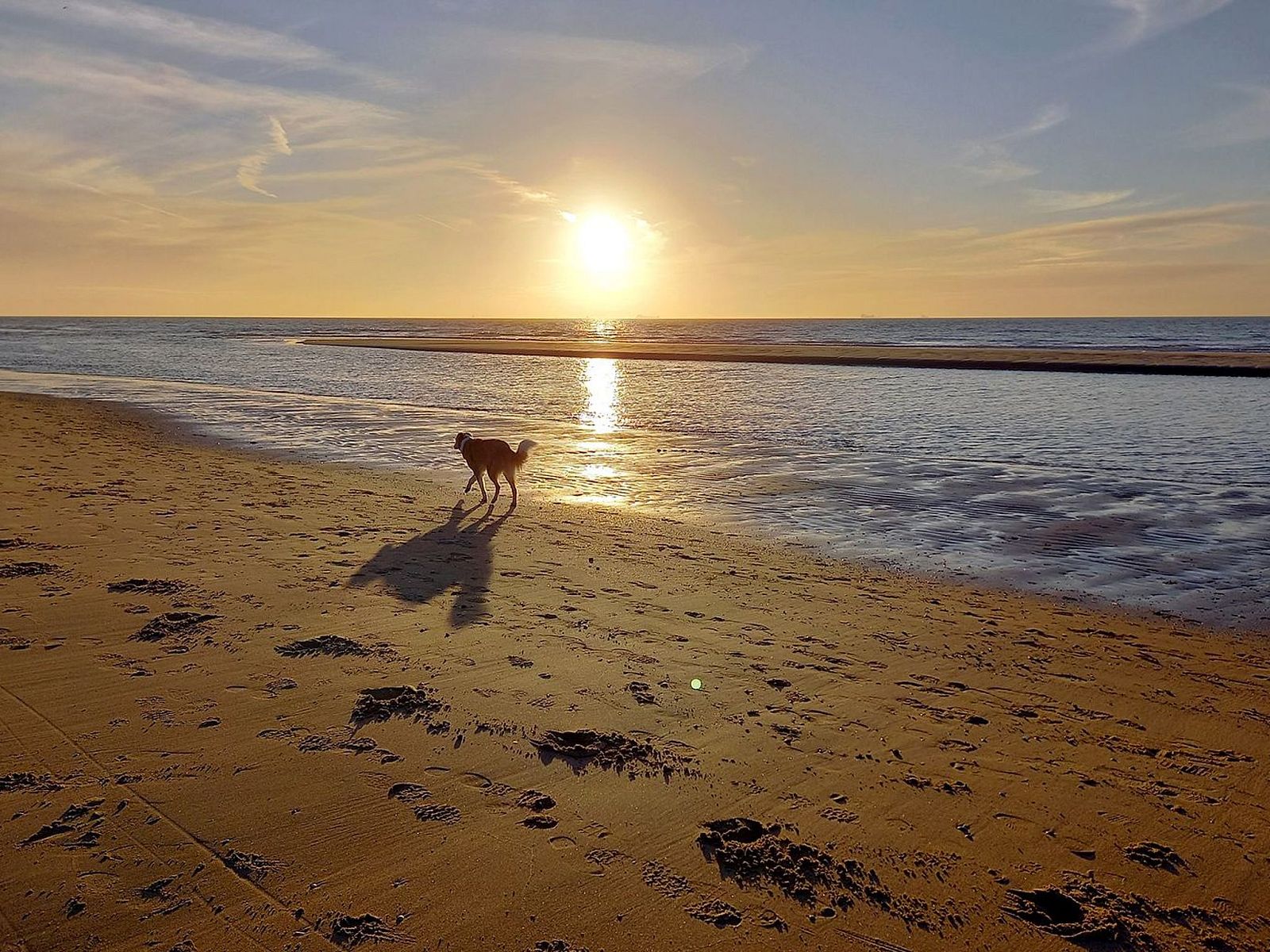 Guest house 6801106 - Holiday property Noordzeekust - Vakantiehuis MarBriliante