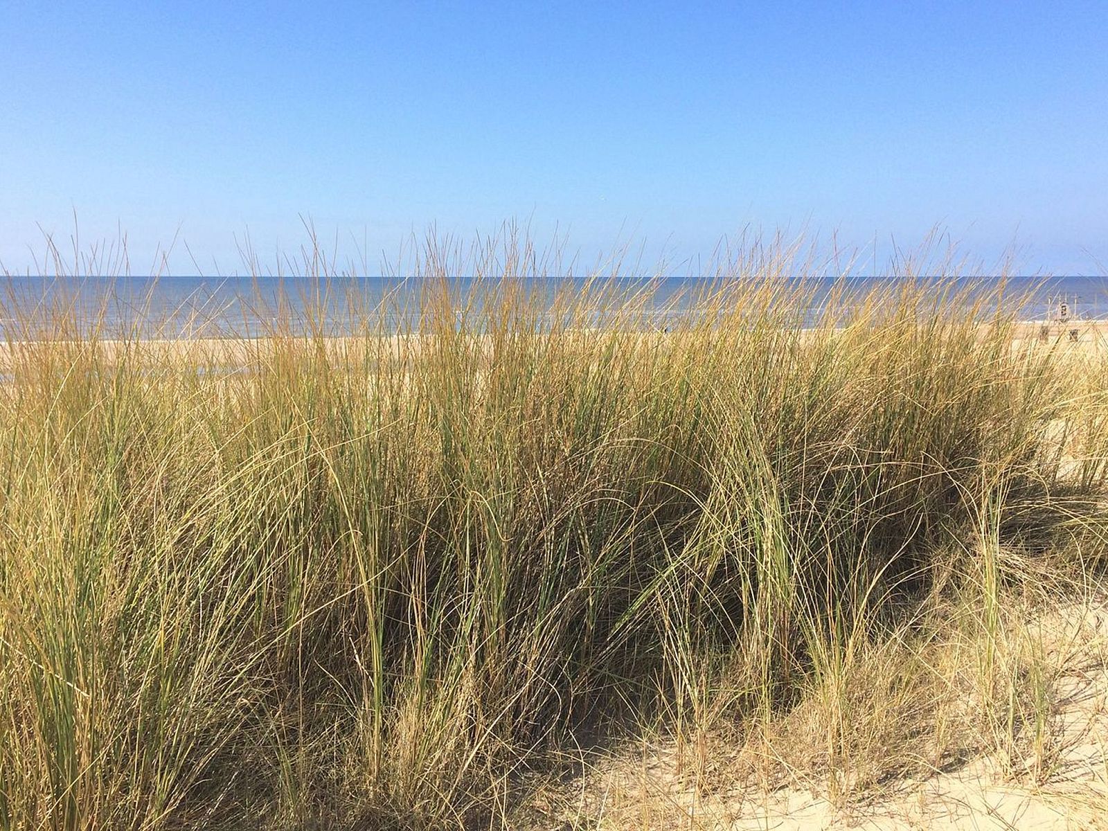 Guest house 6801106 - Holiday property Noordzeekust - Vakantiehuis MarBriliante