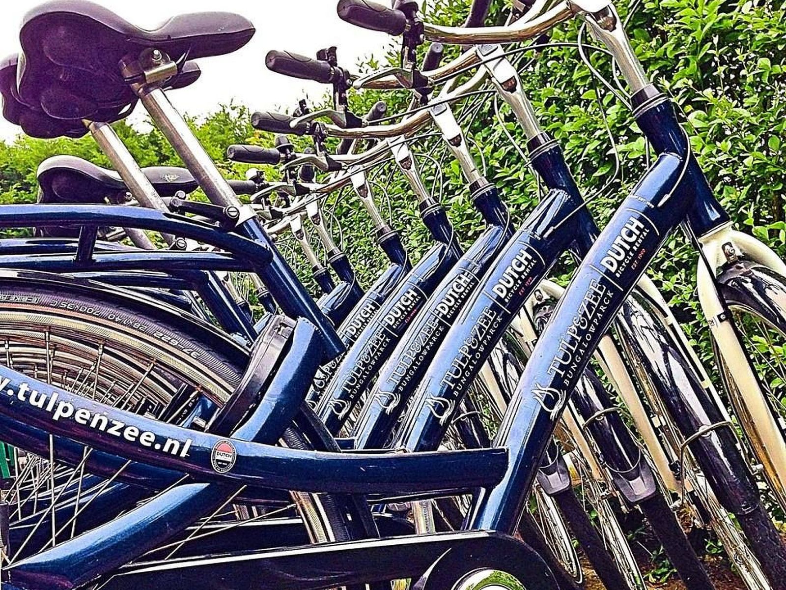 Unterkunft 6801110 - Ferienhaus Noordzeekust - Vakantiehuis mit Wallbox