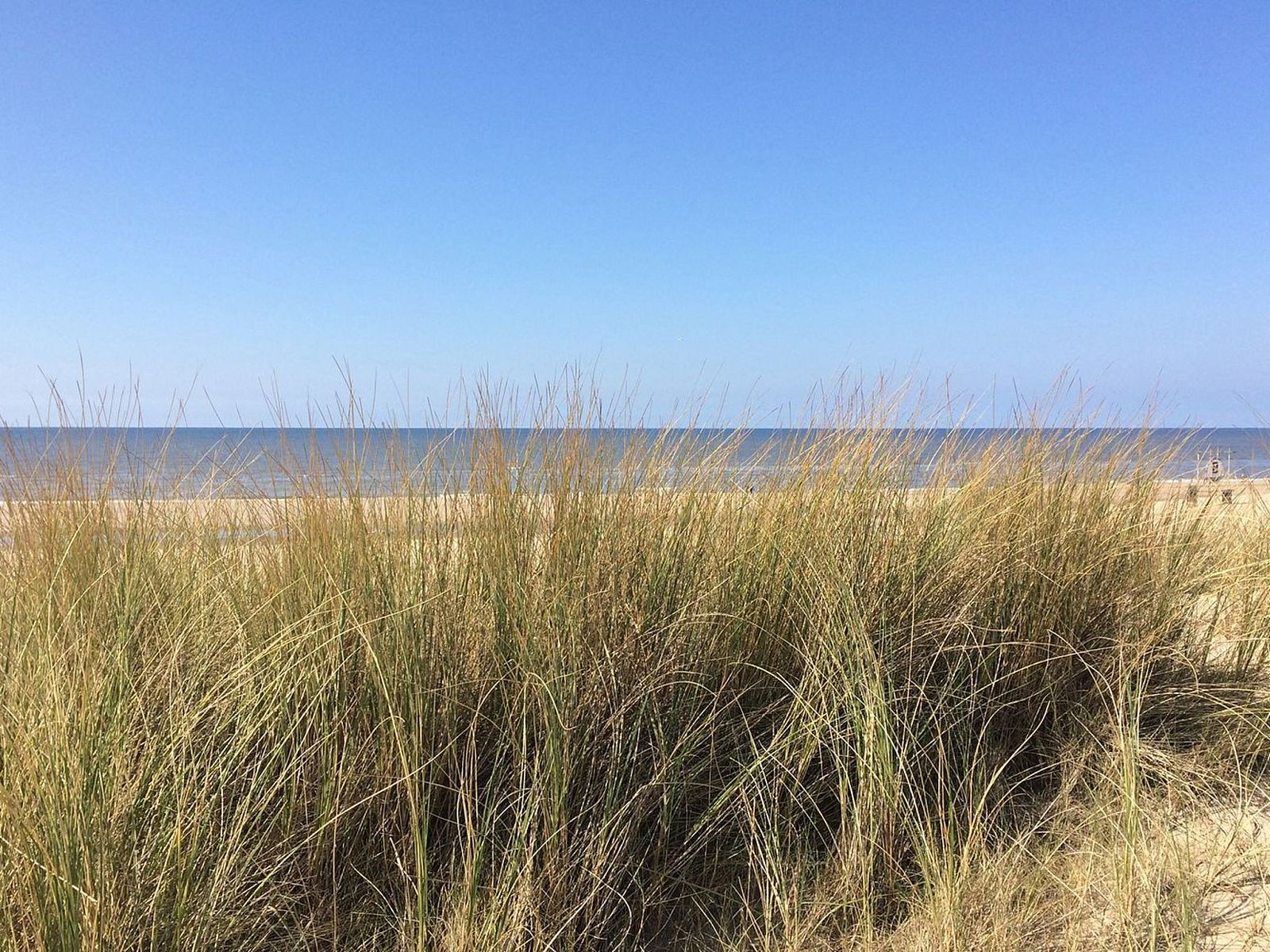 Guest house 6801149 - Holiday property Noordzeekust - Vakantiehuis SunnyLogde