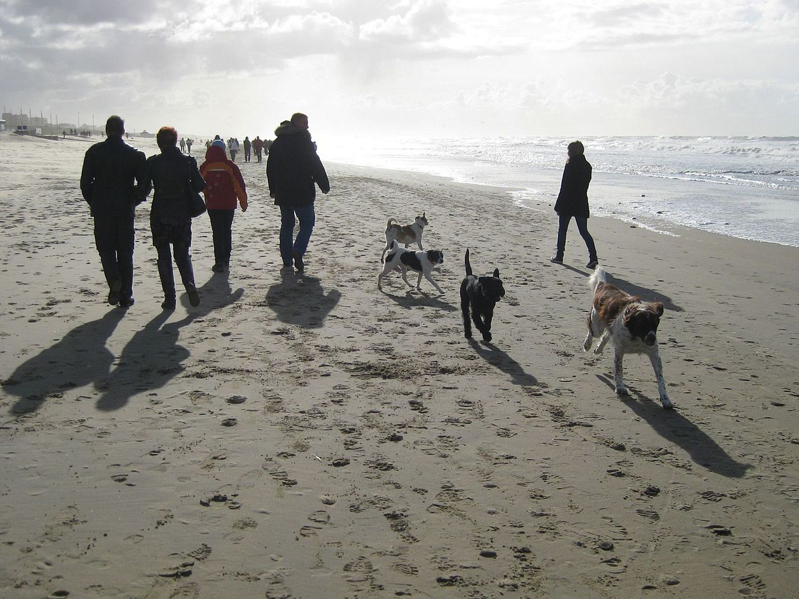 Guest house 6801149 - Holiday property Noordzeekust - Vakantiehuis SunnyLogde
