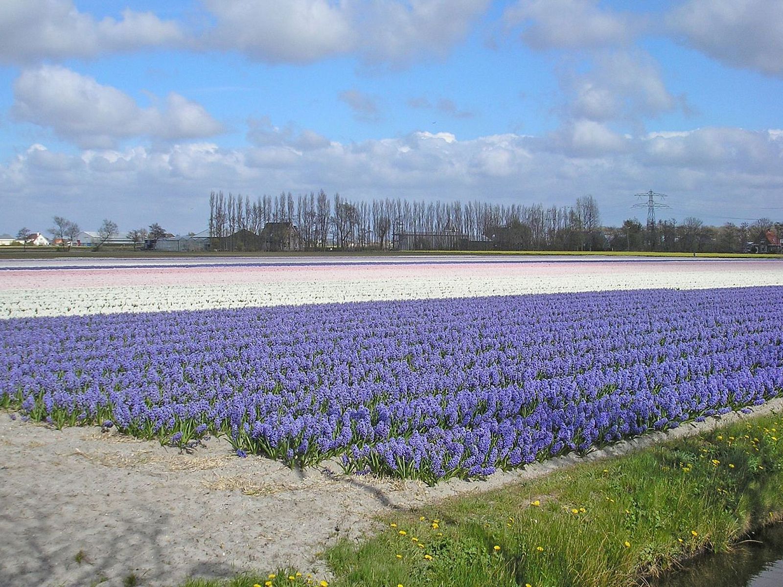 Guest house 6801149 - Holiday property Noordzeekust - Vakantiehuis SunnyLogde
