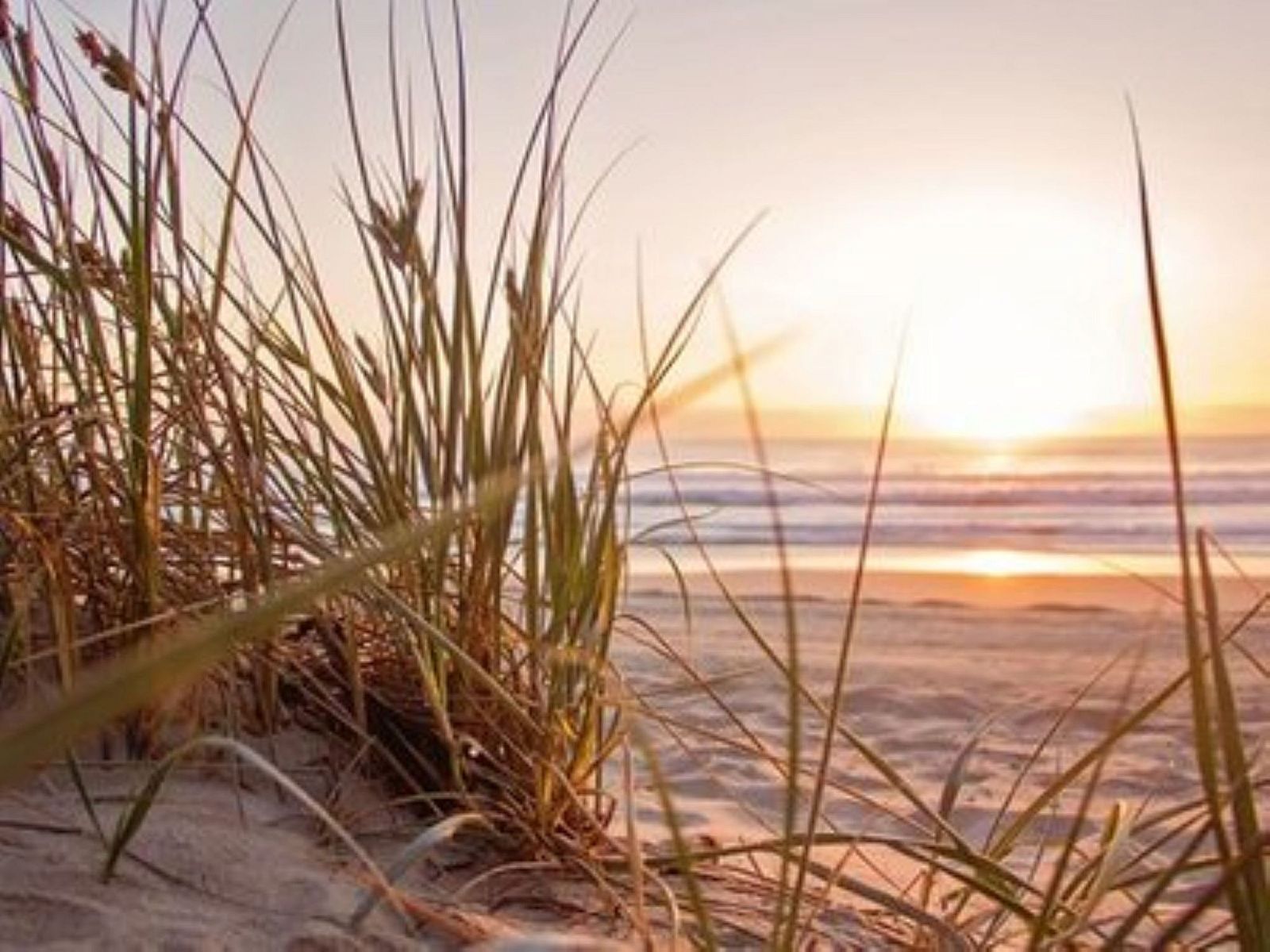 Guest house 680118 - Holiday property Noordzeekust - Vakantiehuis De Bosuil