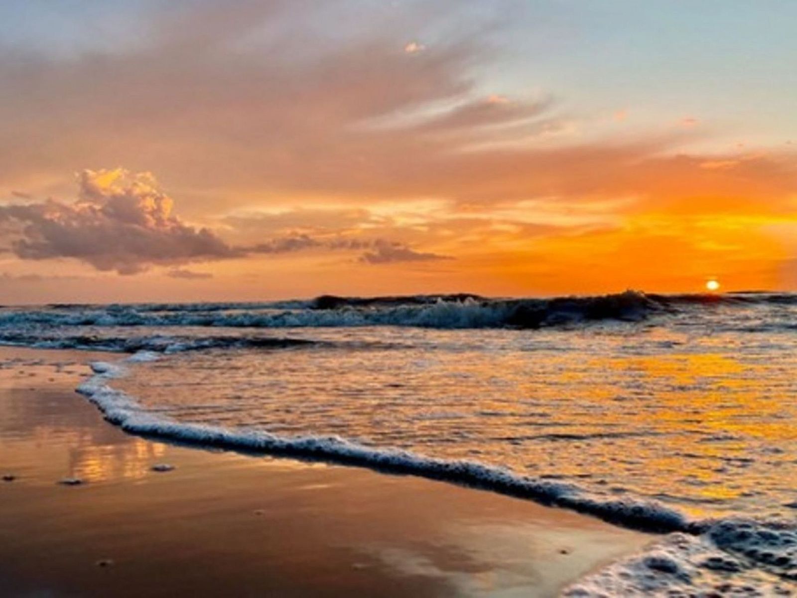 Guest house 680118 - Holiday property Noordzeekust - Vakantiehuis De Bosuil