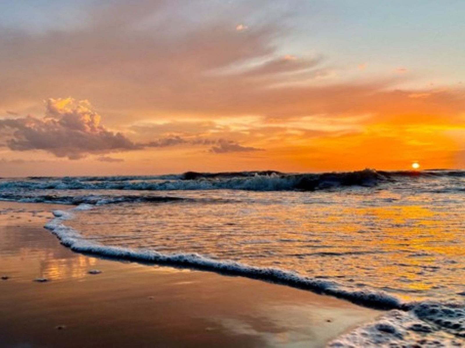 Unterkunft 680139 - Appartement Noordzeekust - Appartement Bella