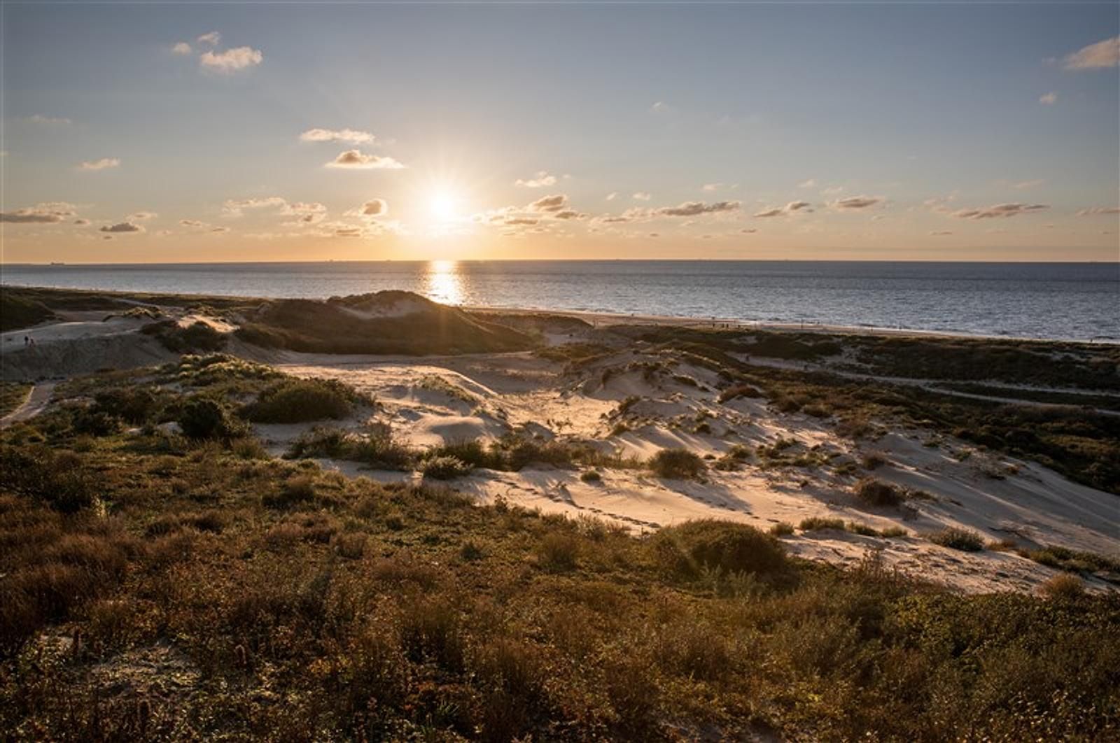 Unterkunft 680415 - Strandhaus Noordzeekust - HaagseStrandhuisjes 5 pers