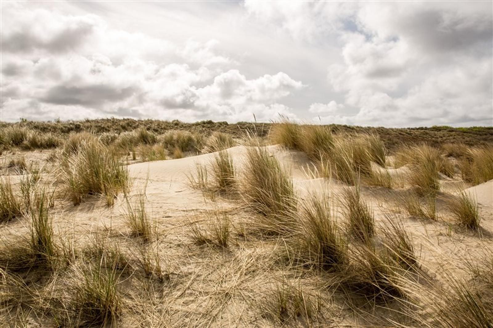 Unterkunft 680415 - Strandhaus Noordzeekust - HaagseStrandhuisjes 5 pers