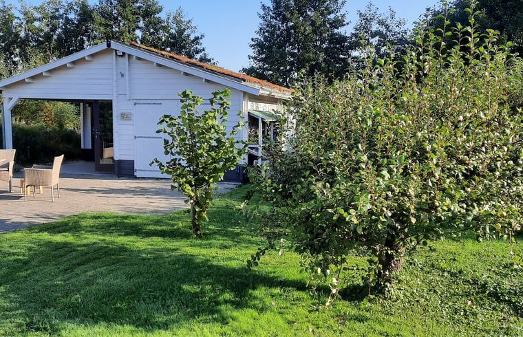 Exterior of Cottage in Lisse, vacation home with green surroundings on the North Sea coast.
