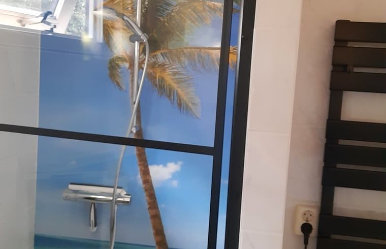Shower with tropical theme in Huisje in Lisse, vacation home in South Holland.