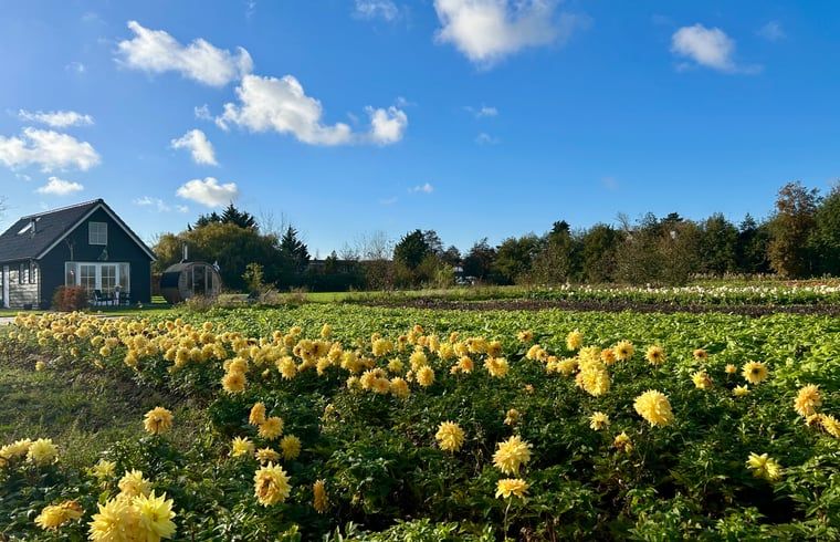 Stijlvolle binnenruimte van Vakantiehuisje in Voorhout, Noordzeekust, met houtkachel en decoratie.