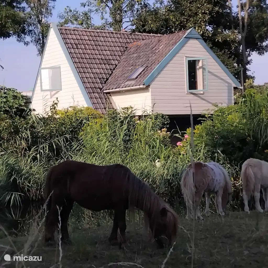 Verblijf 700603 - Vakantiewoning Rotterdam eo - Cottage in the Green