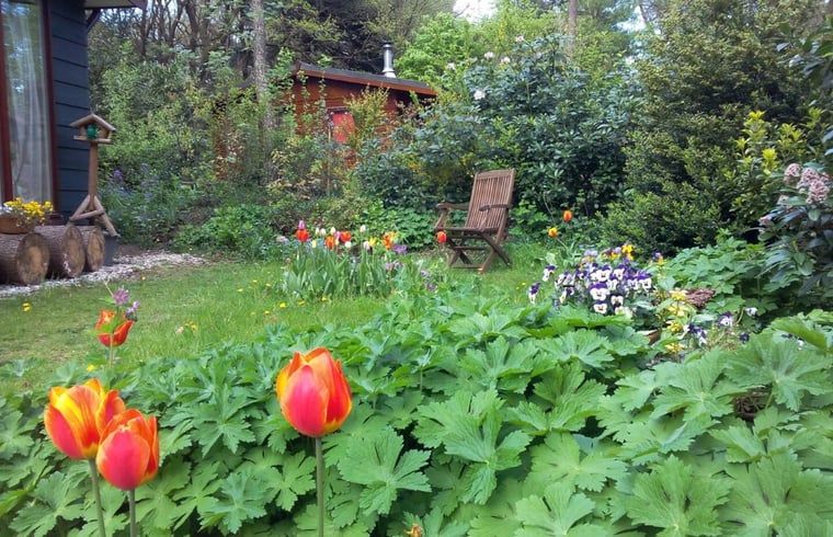 Guest house 710119 - Holiday property Rijk van Nijmegen - Vakantiehuisje in Groesbeek