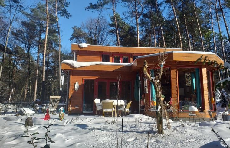 Vakantiehuisje in Groesbeek in een besneeuwd landschap, winterpracht in het Rijk van Nijmegen, Gelderland.