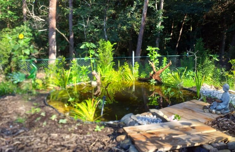 Rustgevende vijver in de tuin van Vakantiehuisje in Groesbeek, omgeven door natuur in het Rijk van Nijmegen.