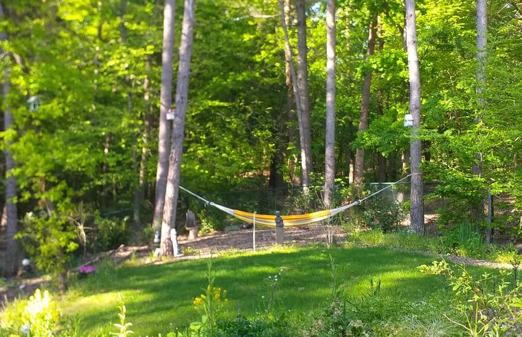 Hangmat in de tuin van Vakantiehuisje in Groesbeek, perfect voor ontspanning in het Rijk van Nijmegen.