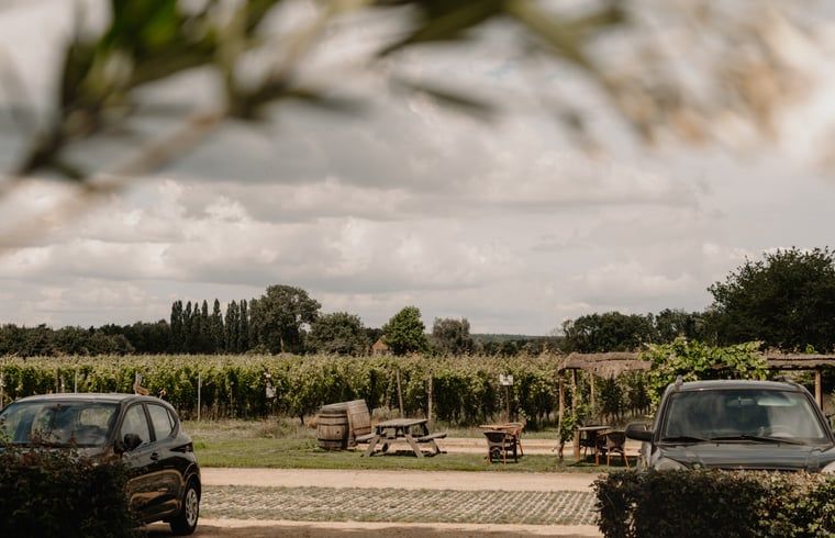 Blick auf die Weinberge vom Ferienhaus in Groesbeek, Groesbeek, Rijk van Nijmegen, Gelderland.