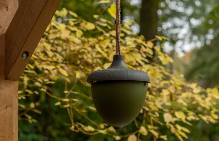 Unterkunft 710134 - Ferienhaus Rijk van Nijmegen - Huisje in Groesbeek