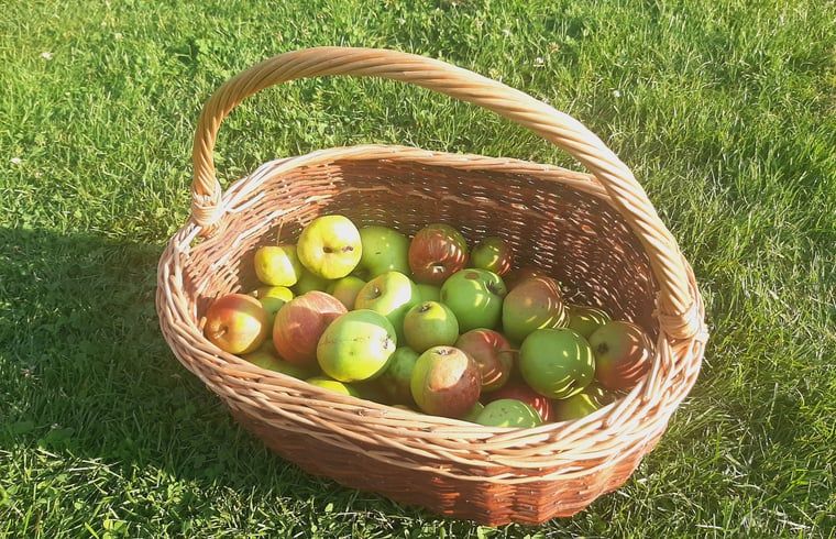 Guest house 710204 - Holiday property Rijk van Nijmegen - Vakantiehuis in Malden